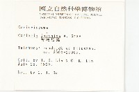 臺灣馬桑藏品圖，第2張