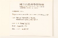 玉山飛蓬藏品圖，第2張