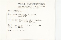 臺灣馬桑藏品圖，第2張