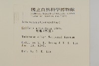 鱧腸藏品圖，第2張