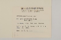 鱧腸藏品圖，第2張