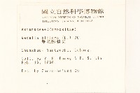 雙花蟛蜞菊藏品圖，第2張