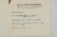 臭杏、土荊芥藏品圖，第5張