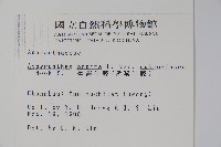 紫莖牛膝、台灣牛膝藏品圖，第2張