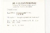 獨行菜藏品圖，第2張