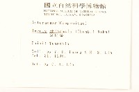 兔仔菜藏品圖，第2張