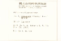 兔仔菜藏品圖，第2張