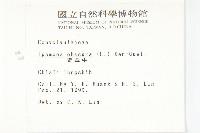 野牽牛藏品圖，第2張