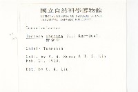 野牽牛藏品圖，第2張