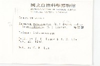 馬鞍藤藏品圖，第2張