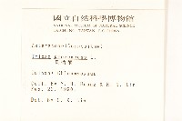 長柄菊藏品圖，第2張