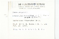 盒果藤藏品圖，第2張