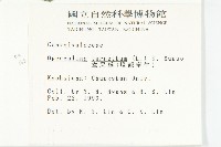 盒果藤藏品圖，第2張