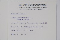 木蠟樹、山漆藏品圖，第2張