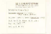 一枝香藏品圖，第2張