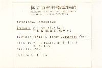 一枝香藏品圖，第2張