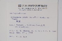 鷗蔓藏品圖，第2張