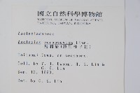 尖尾鳳、馬利筋藏品圖，第2張