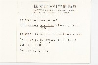 狗娃花藏品圖，第2張