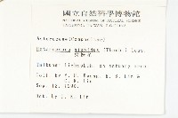 狗娃花藏品圖，第2張