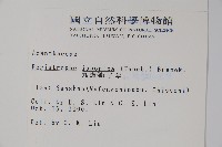 九頭獅子草藏品圖，第2張