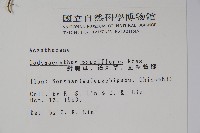 針刺草藏品圖，第2張