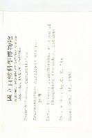 王瓜藏品圖，第2張