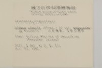 大頭艾納香藏品圖，第2張