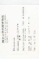 宜梧藏品圖，第2張