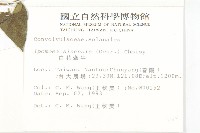 小木通藏品圖，第3張