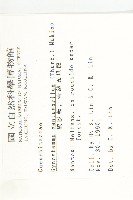 絞股藍藏品圖，第2張