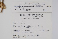 匙葉蓮子草藏品圖，第2張