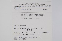 匙葉蓮子草藏品圖，第2張