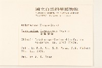 臺灣澤蘭藏品圖，第2張