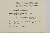 臺灣馬蘭藏品圖，第2張