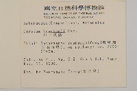 塔塔加薊藏品圖，第2張