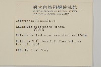 高山艾藏品圖，第2張