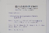 玉山沙參藏品圖，第2張
