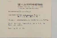 阿里山油菊藏品圖，第2張