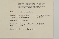 艾納香藏品圖，第2張