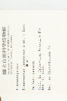 薯豆藏品圖，第2張