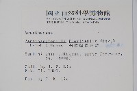 曲莖馬藍藏品圖，第2張