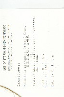 黑果馬交兒藏品圖，第2張