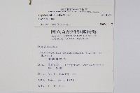 矮鱗球花藏品圖，第2張