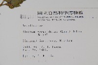 賽山藍藏品圖，第2張