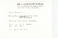 鵝鑾鼻燈籠草藏品圖，第2張