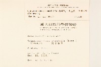 線球菊、田基黃藏品圖，第2張