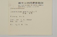 臭杏、土荊芥藏品圖，第2張