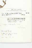 伯格草藏品圖，第2張