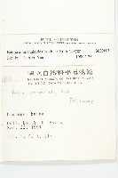 伯格草藏品圖，第2張